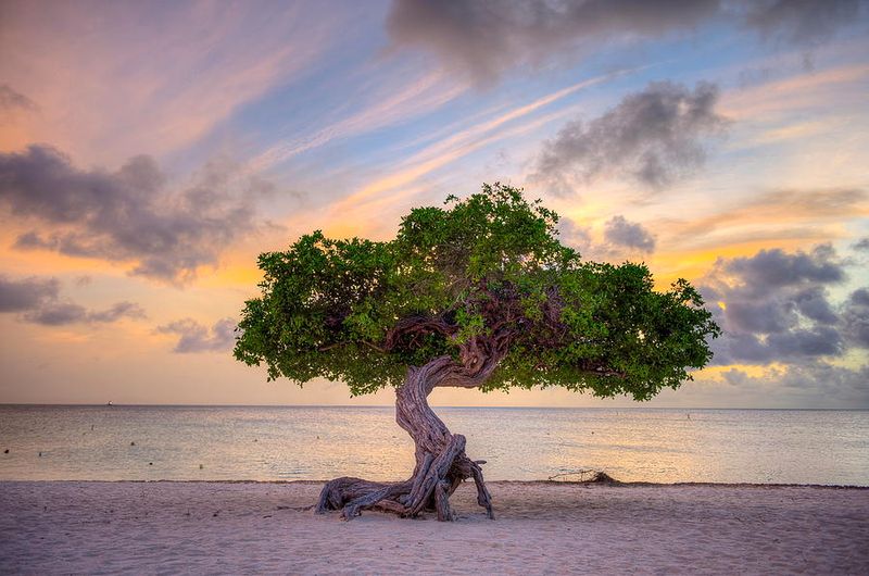Aruba