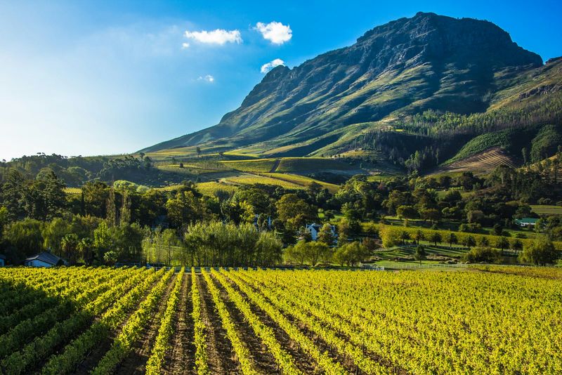 Stellenbosch, South Africa