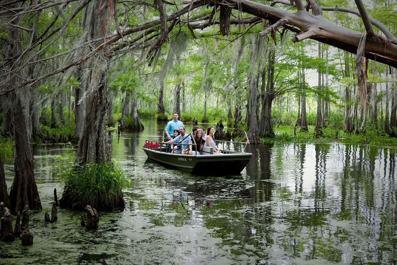 Wetland Restoration in the Louisiana Bayous