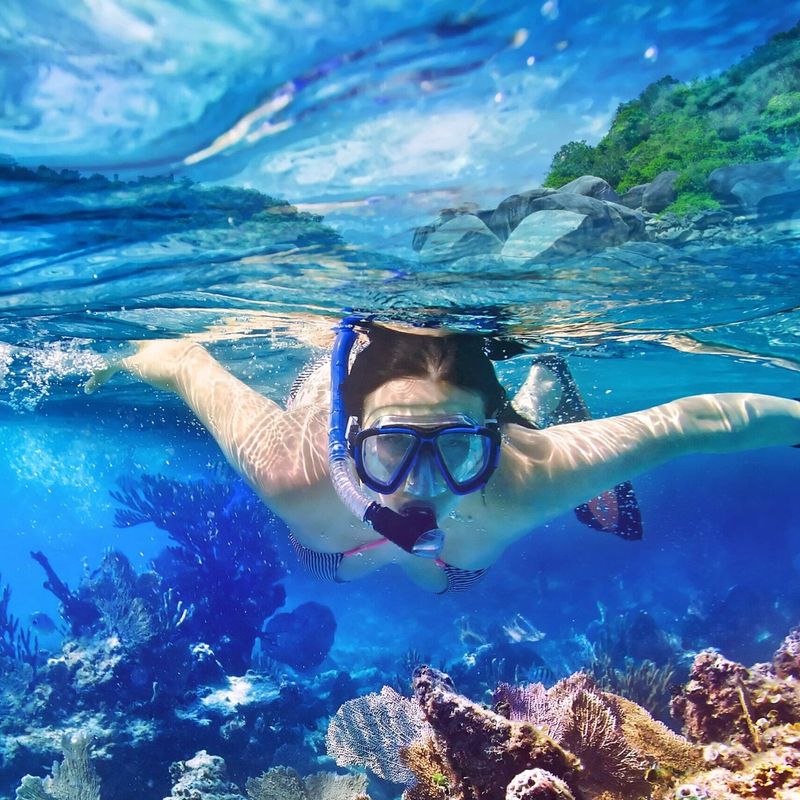 Snorkel Gear