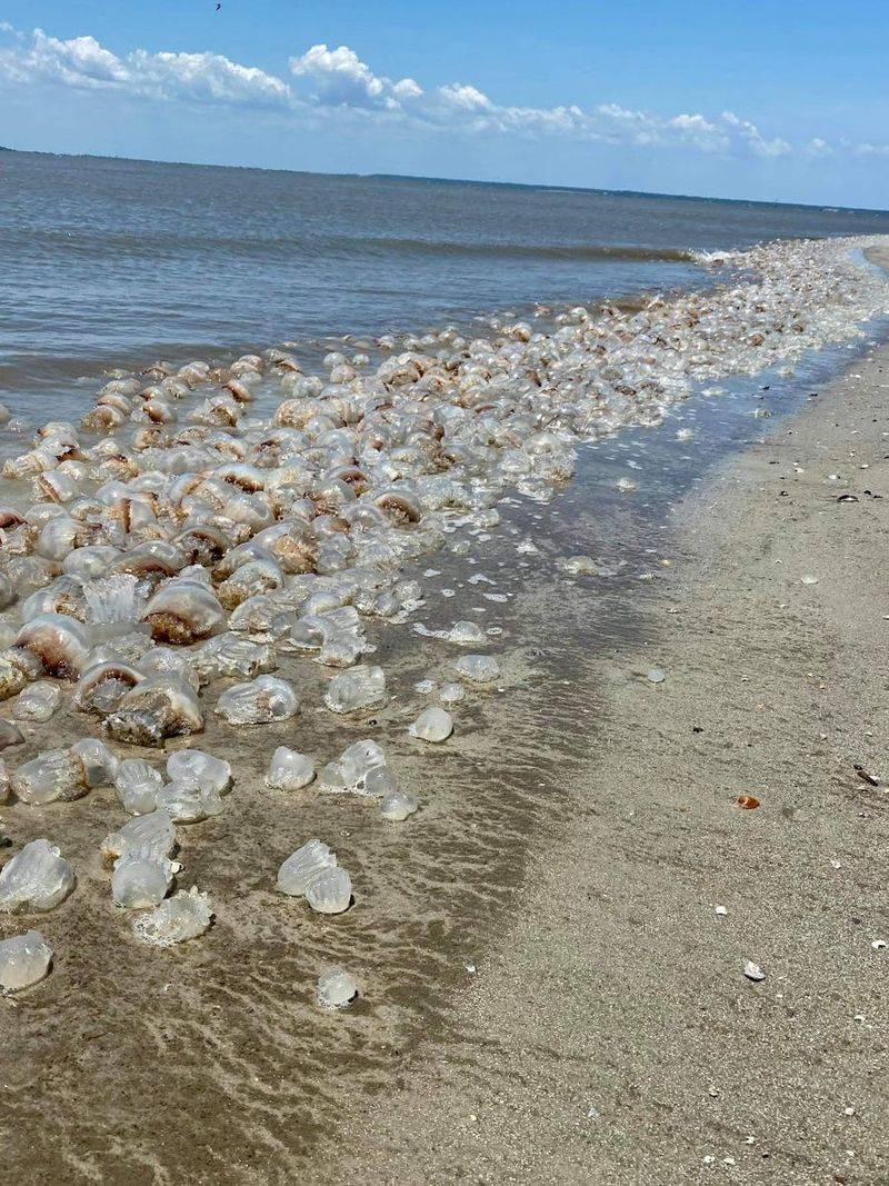 Jekyll Island, Georgia