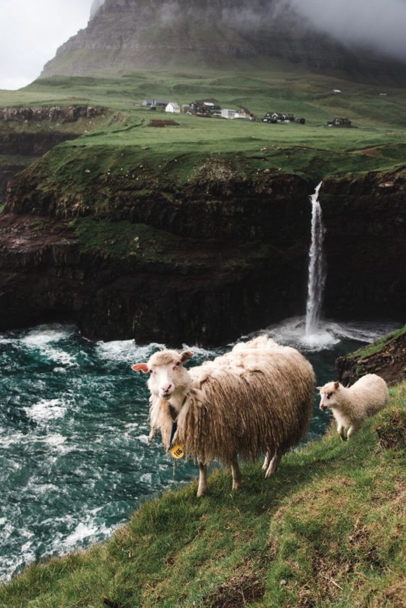 Faroe Islands, Denmark