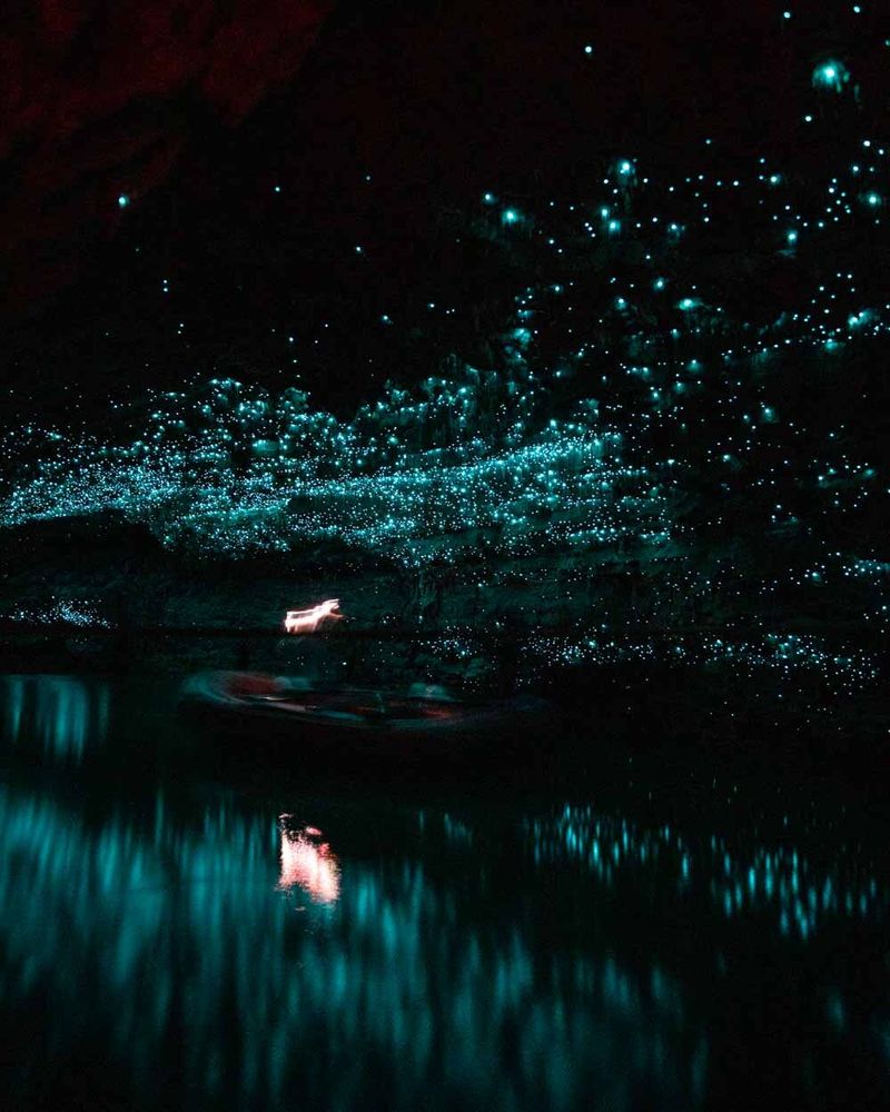 New Zealand's Glowworm Caves