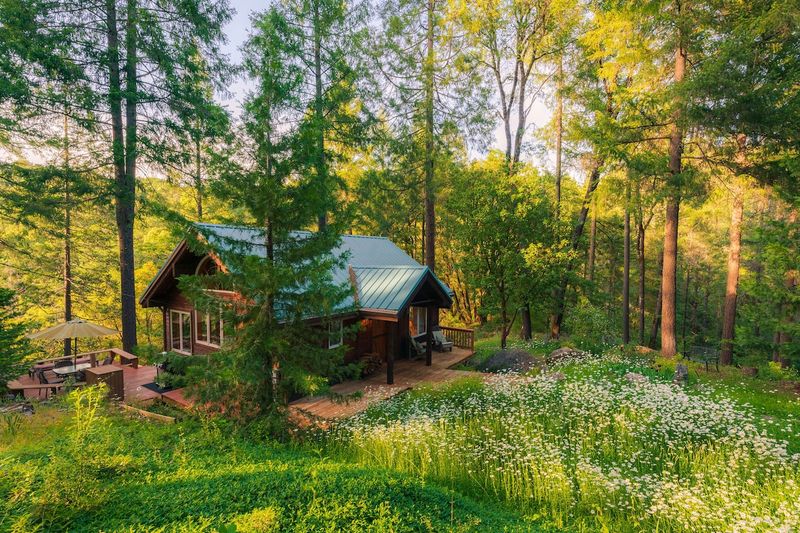 Pine Grove Hideout