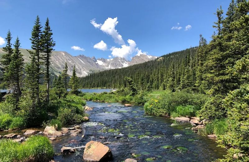 Roosevelt National Forest