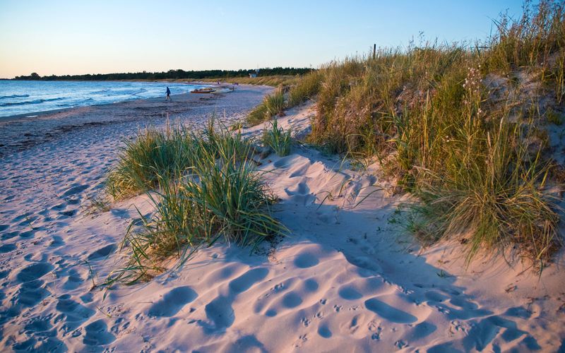 Tofta Beach