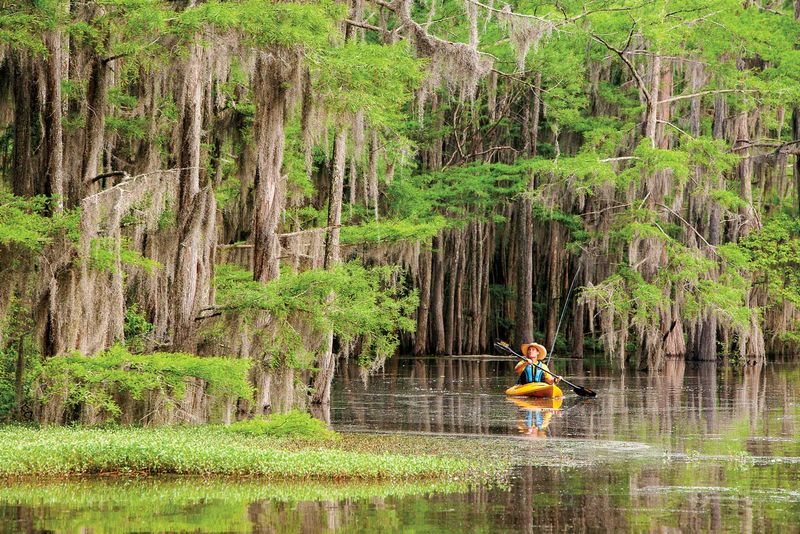 Caddo Lake, Texas/Louisiana