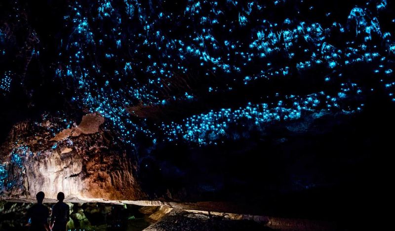 New Zealand's Glowworm Caves