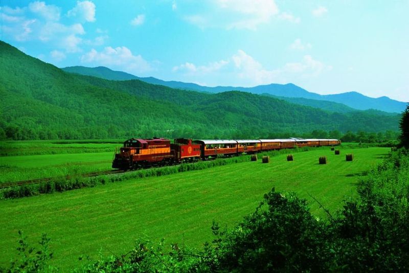 Picturesque Farmlands