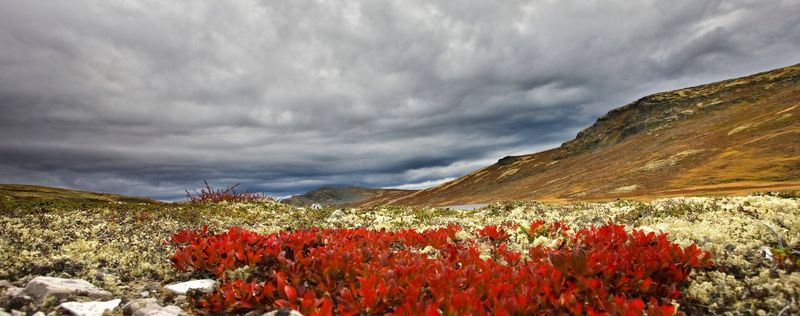 Breathtaking: Rondane National Park