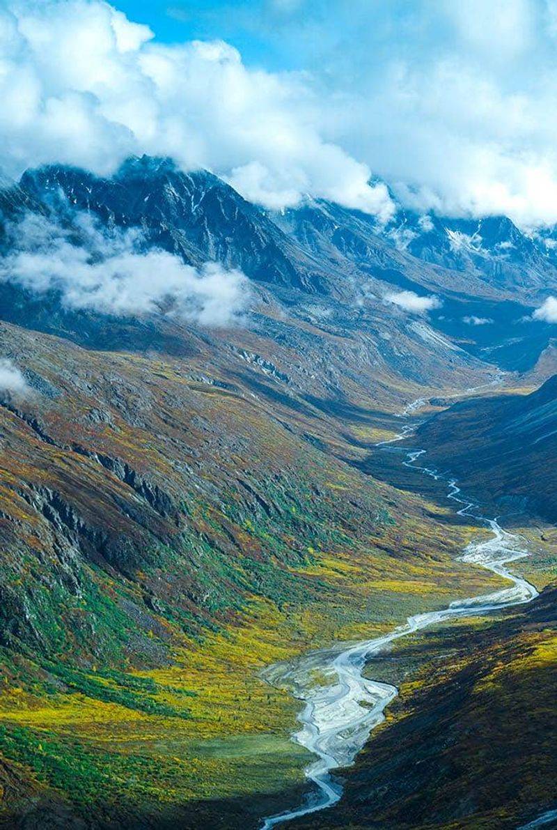 Denali National Park