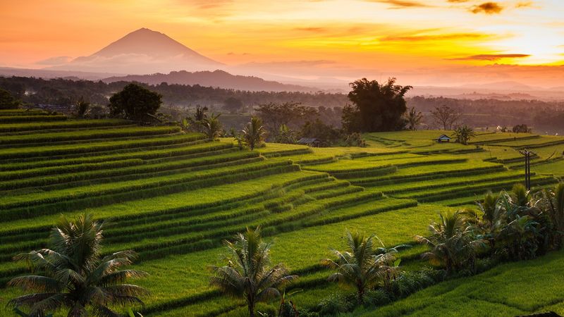 Indonesia