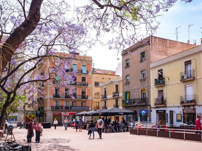 Gràcia Neighborhood