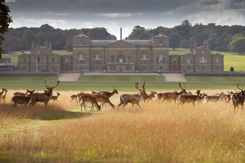 Holkham Hall