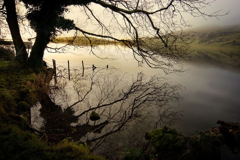 Lough Gur's Mystical Waters