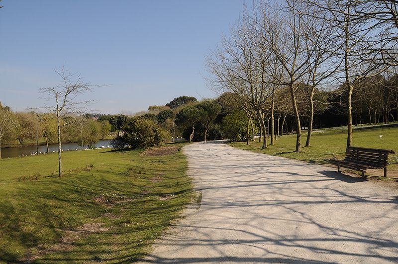 Parque da Cidade do Porto