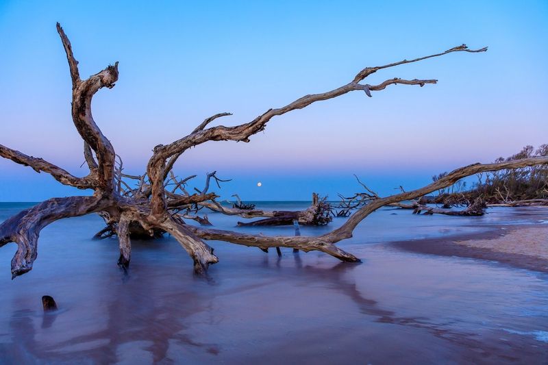 Little Talbot Island State Park