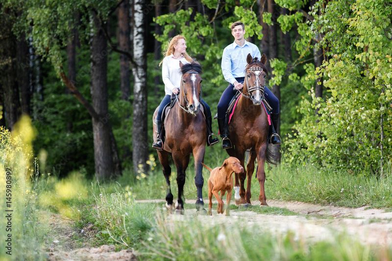 Horseback Riding