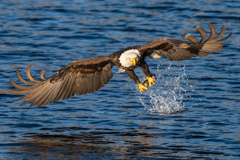 Lake Coeur d'Alene, Idaho