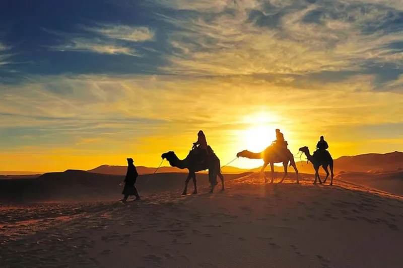 Camel Trek in the Sahara