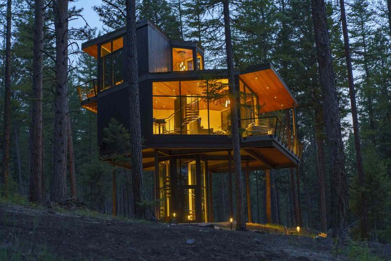 Tree Top Tranquility