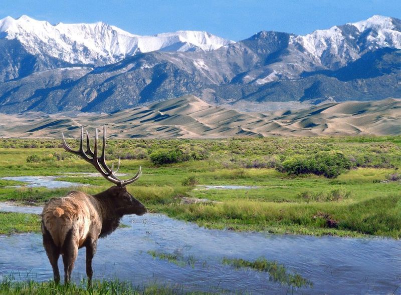 Great Sand Dunes National Park, Colorado