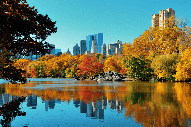New York's Central Park
