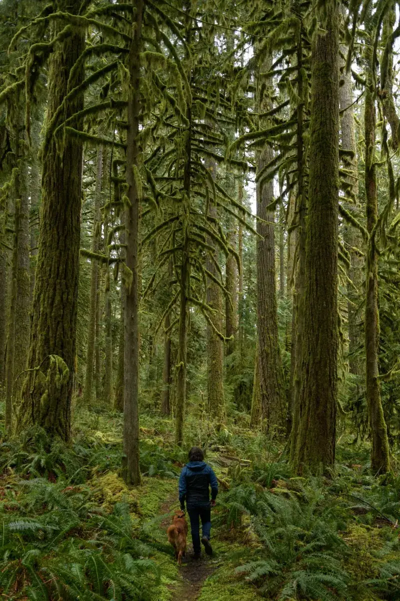 Reconnecting with Nature