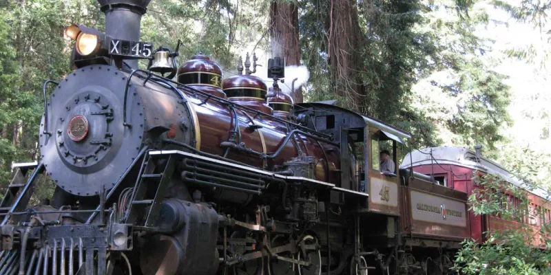 Fort Bragg's Skunk Train