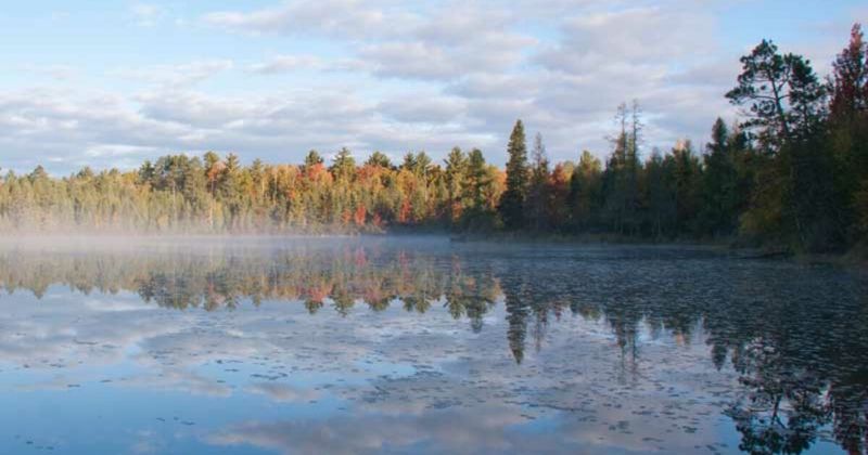 Nicolet National Forest