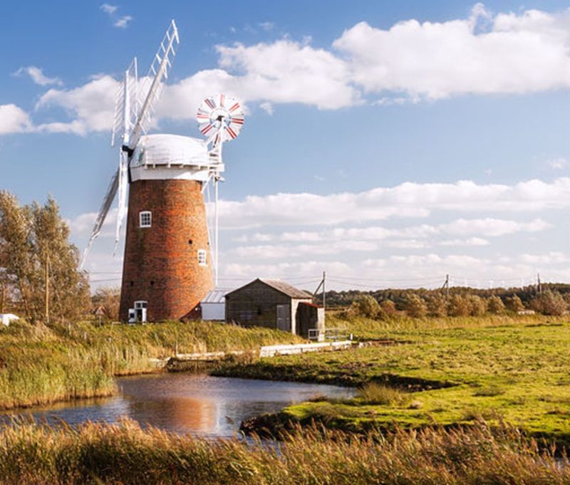 Wildlife Safari in the Norfolk Broads