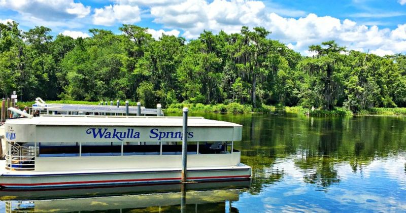 Wakulla Springs