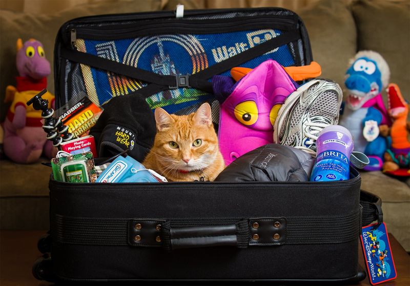 Packing Smart