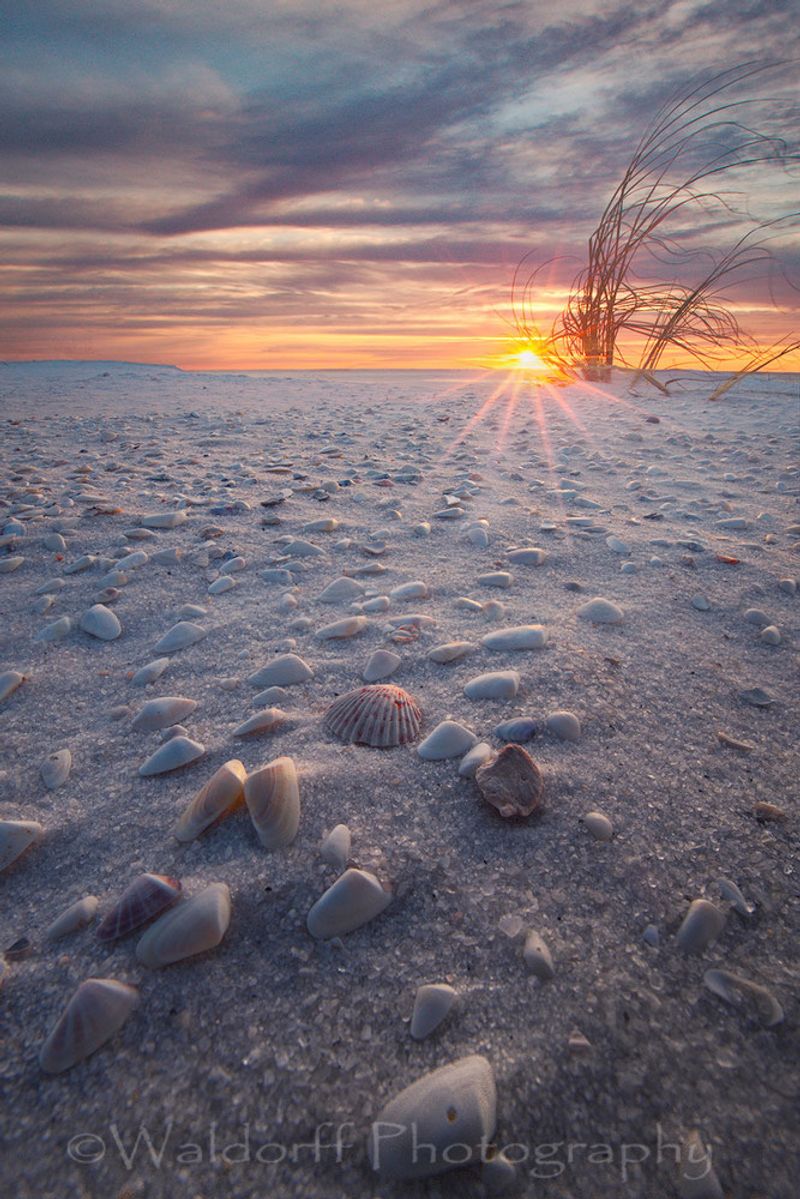 Ethereal Tides