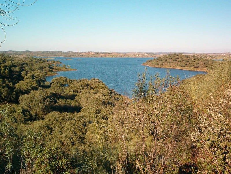 Elysian Waters