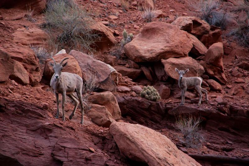 Canyonlands National Park, Utah