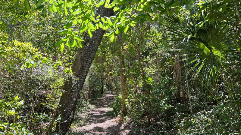 Nature's Hidden Trails