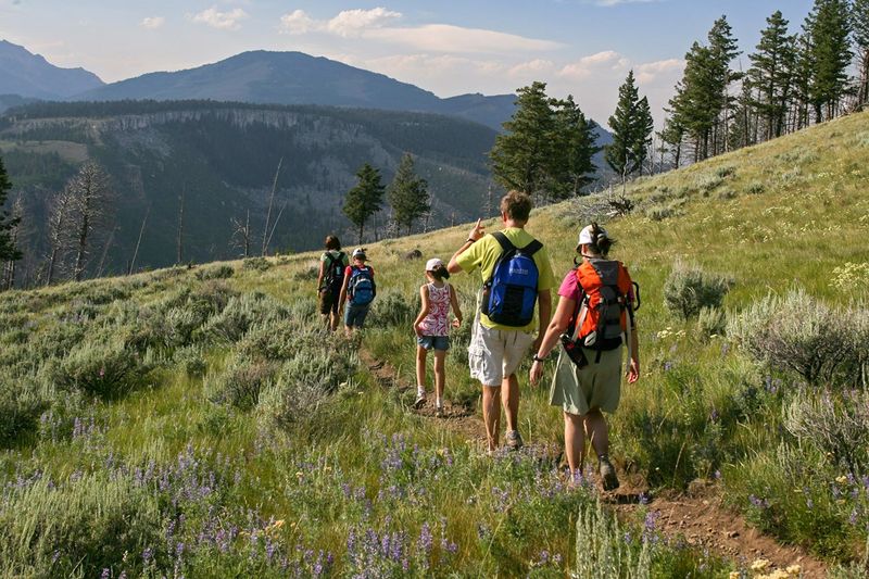 Adventurous Hiking Trails