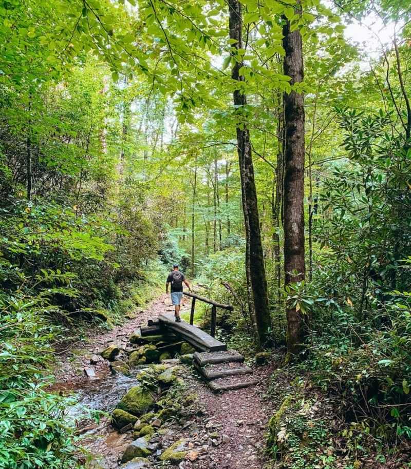 Enchanted Forest Trail