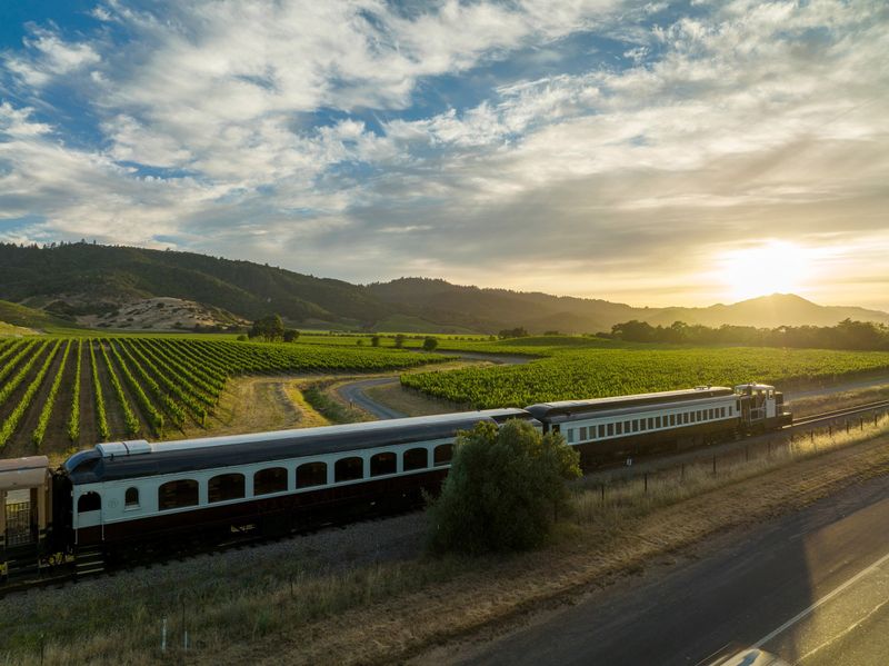 Lush Vineyard Scapes