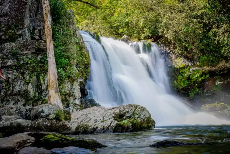 Abrams Falls: A Roaring Beauty