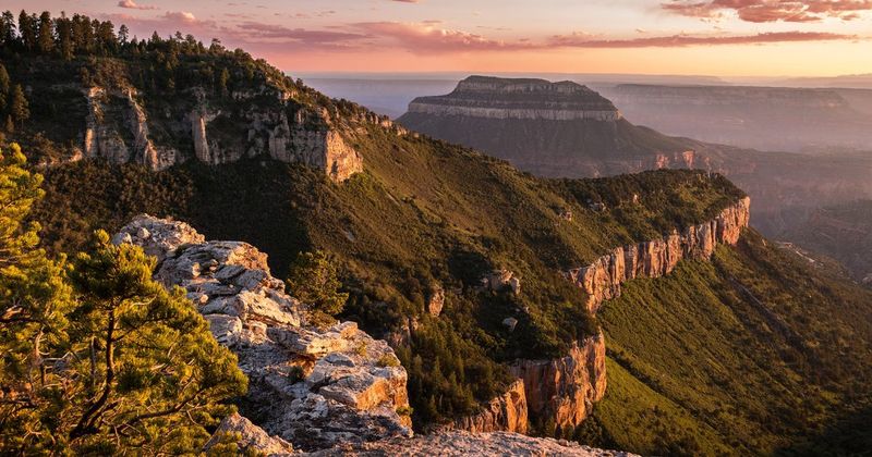 Kaibab National Forest