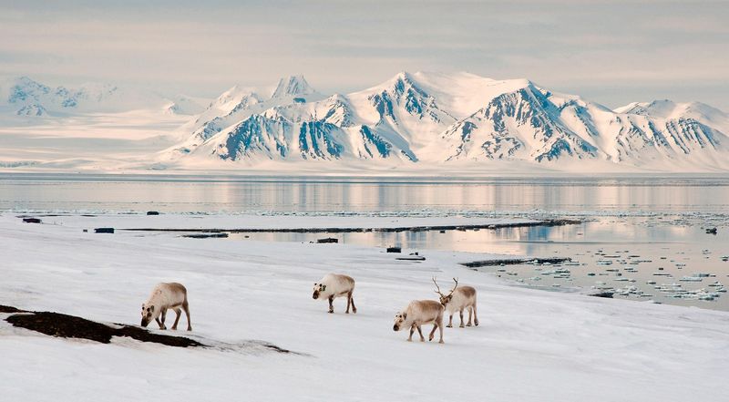 Svalbard, Norway