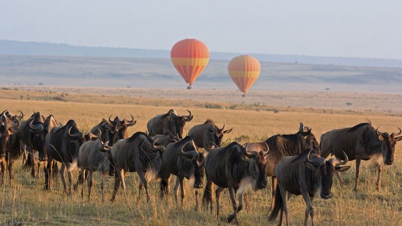 Serengeti National Park, Tanzania