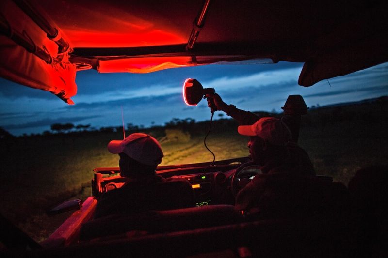 Night Safari in the Maasai Mara