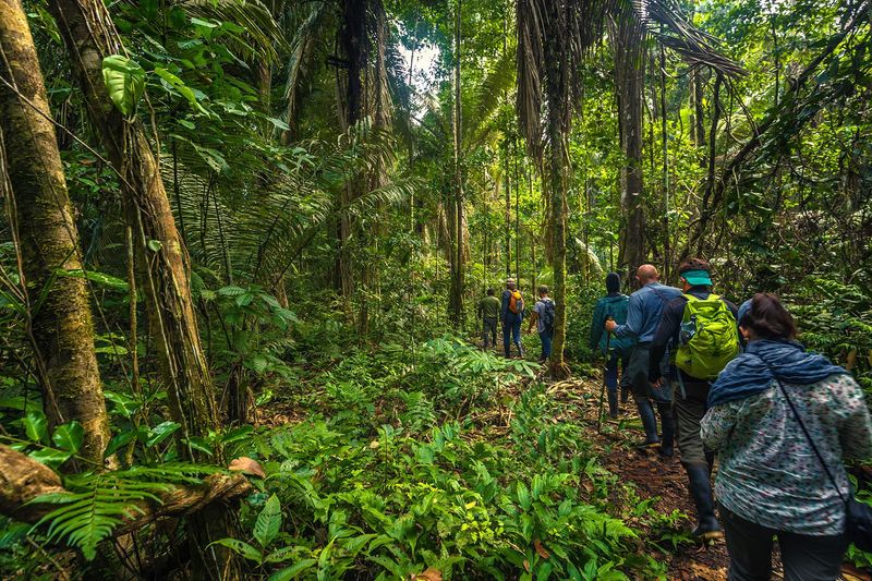 Amazon Rainforest Trek