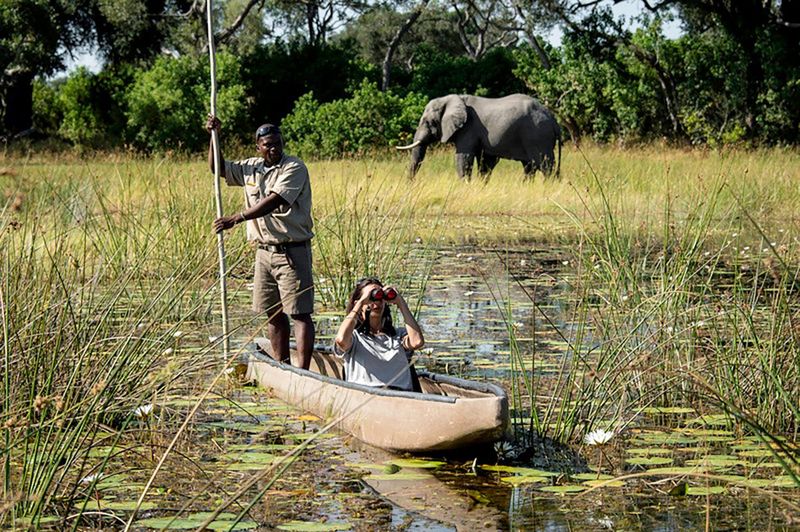 Journeying through the Okavango Delta, Botswana