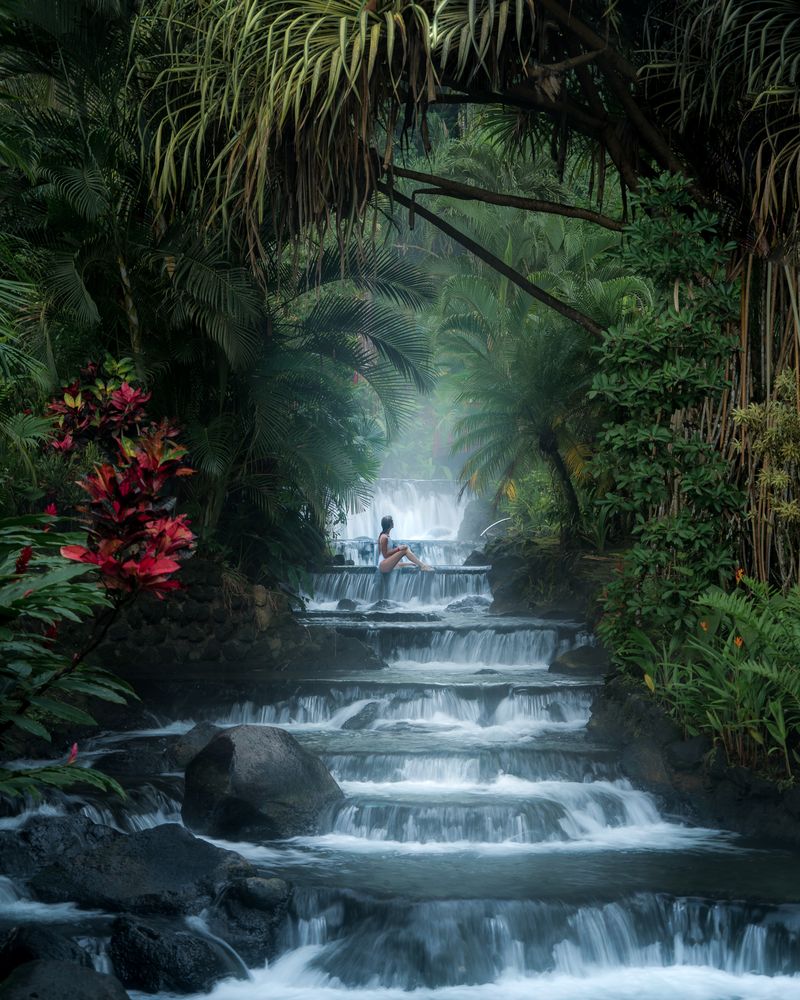 Jungle Waterfall Haven