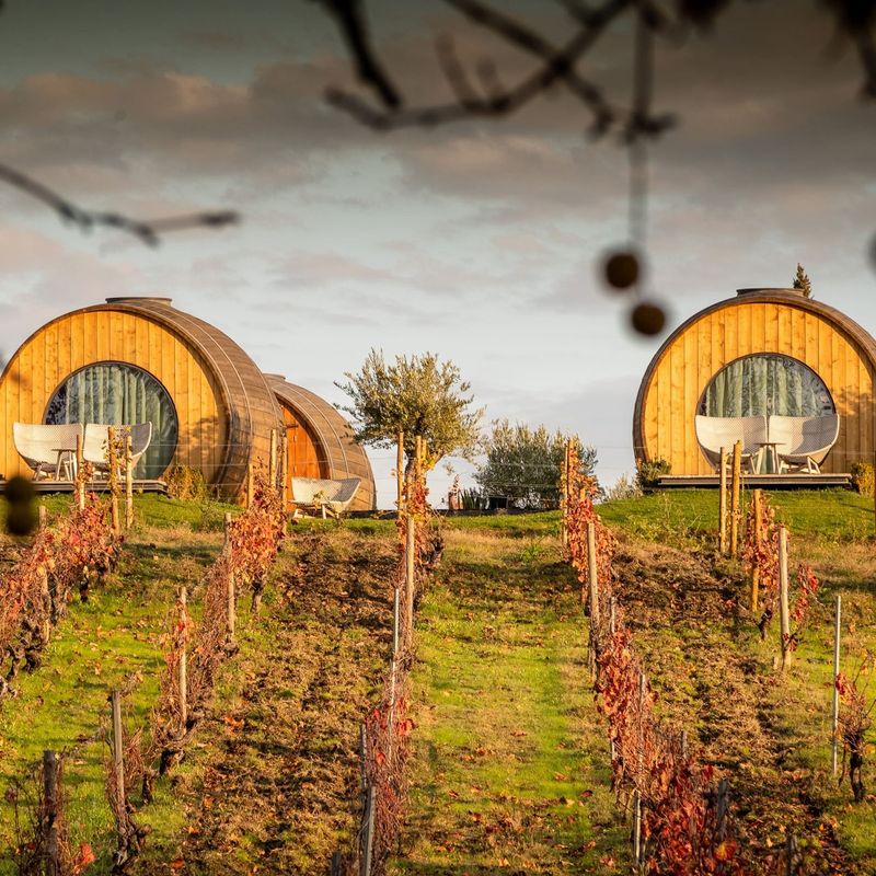 Countryside Vineyard Resort