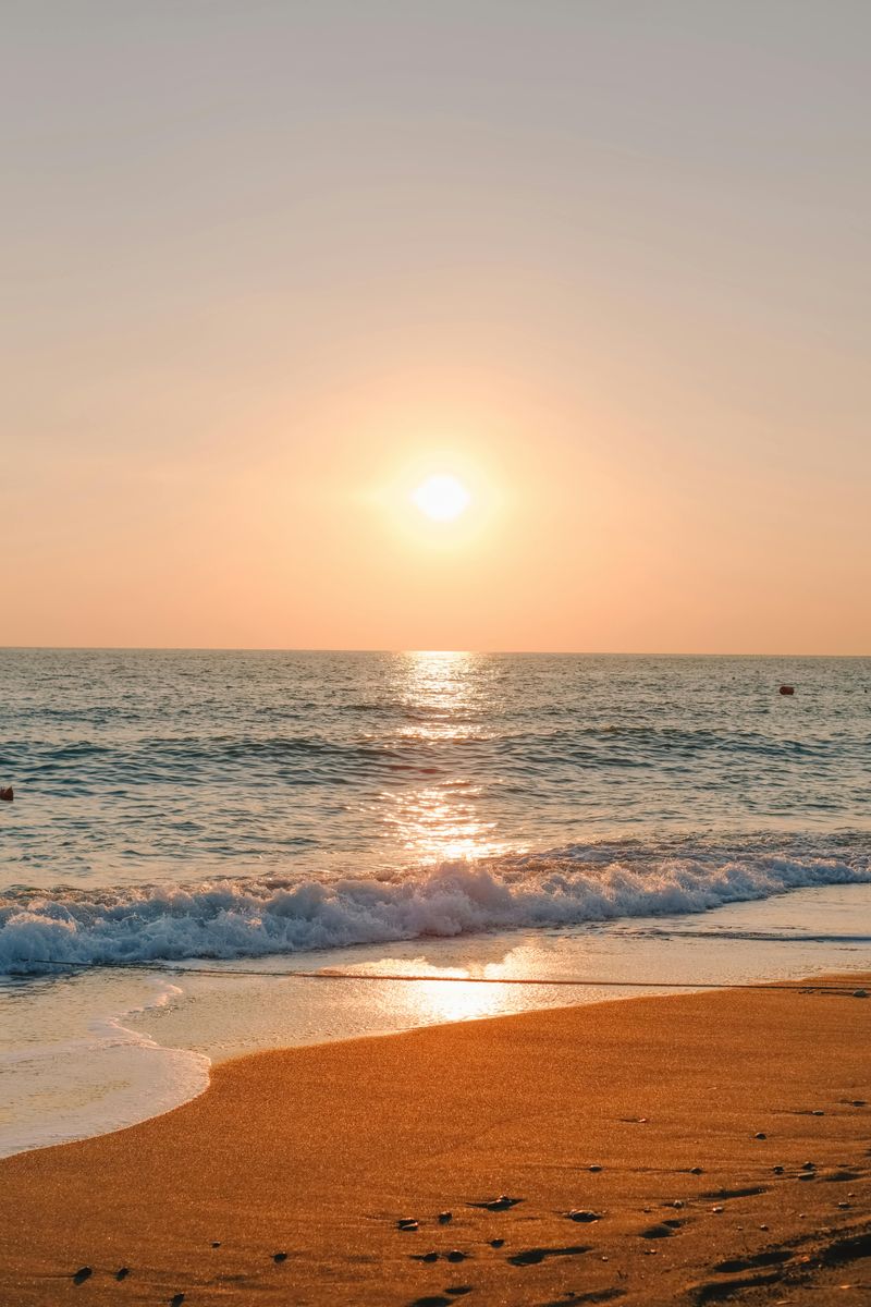 Golden Shore